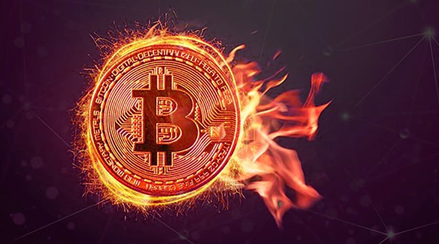 Why Do Projects Burn Coins?